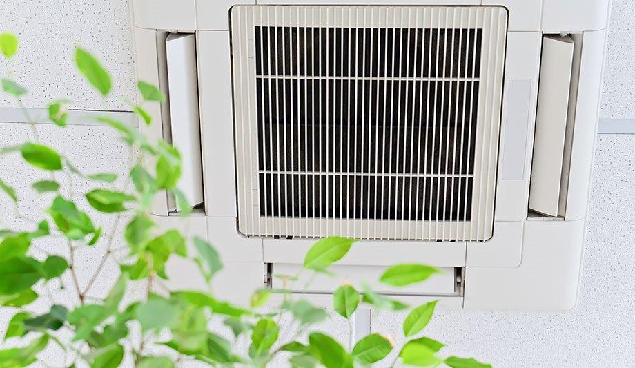 Indoor Air Quality Service